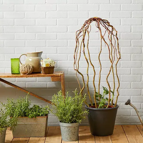 DIY For Making Garden Ladder and Trellis6