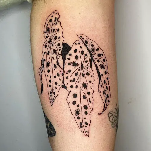 begonia tattoo designs