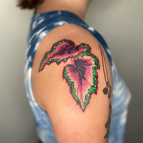 begonia tattoo designs 2