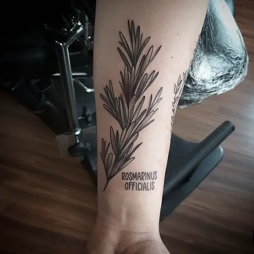 herb tattoo ideas 5