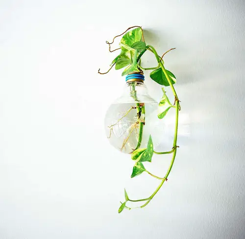 Indoor Gardens with Water Wall Concepts