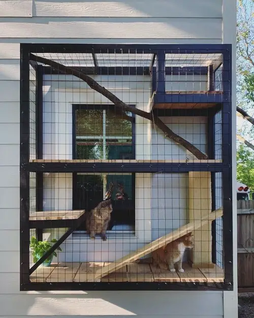 Amazing DIY Catio ideas 45