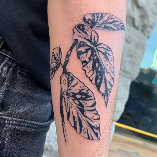 begonia tattoo ideas 2