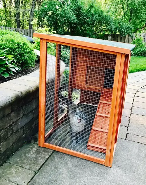 Interesting DIY Catio ideas 89