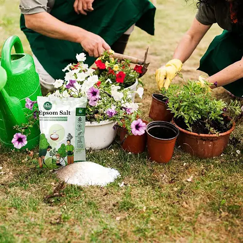 Gardener's Old Wives Tales that Really Work16