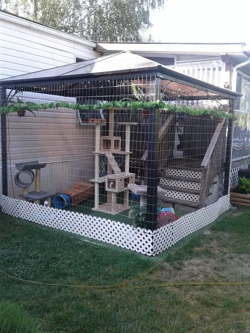 DIY Catio ideas for home garden