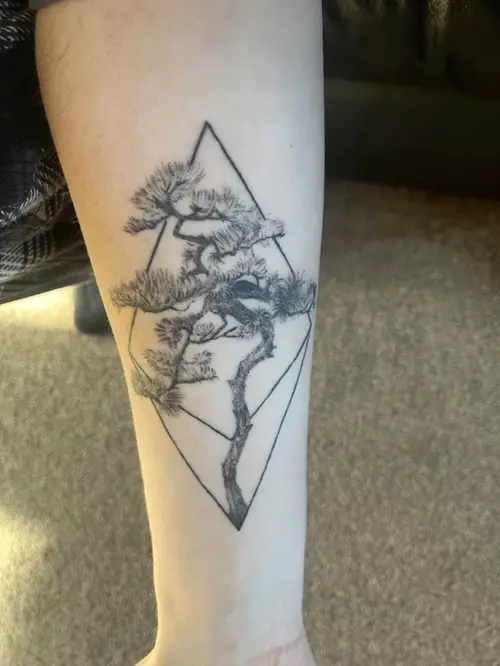 Bonsai in Geometrical Diamond tattoo idea