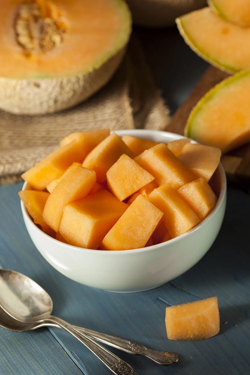 dog eats cantalope