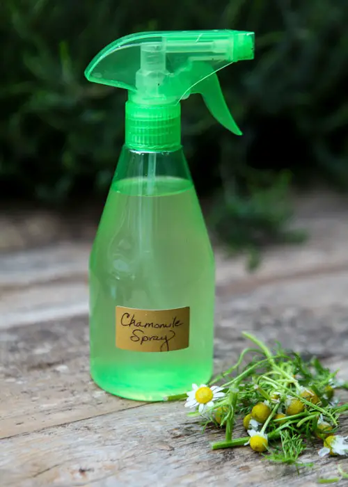 Gardener's Old Wives Tales that Really Work22
