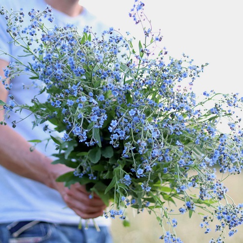Chinese Flowers in hand