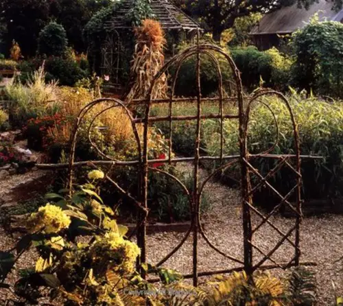 A Do-It-Yourself Garden Ladder and Trellis