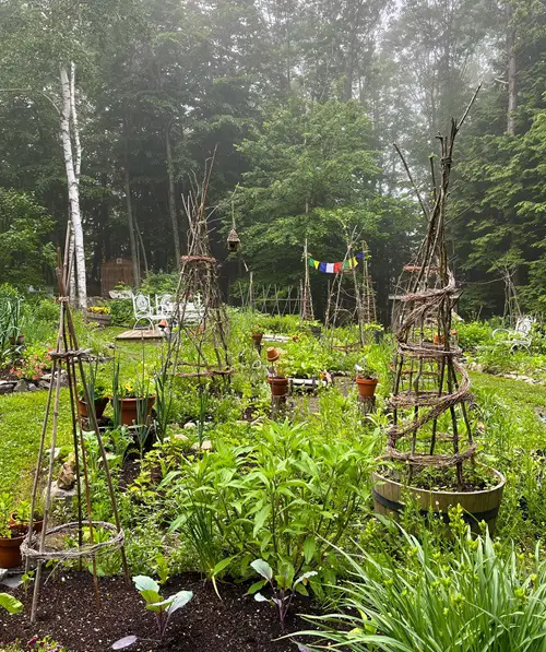 DIY For Making Garden Ladder and Trellis