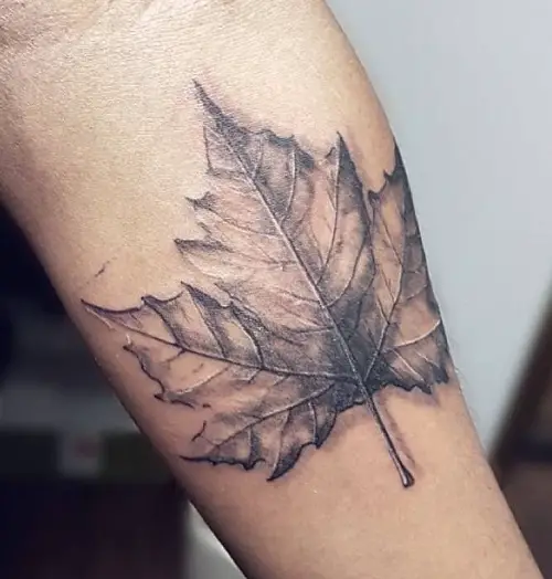 Maple Leaf Tattoo 1