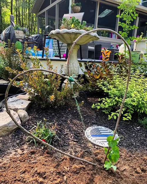 How to Build a Garden Ladder and Trellis at Home