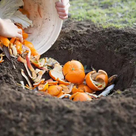 Gardener's Old Wives Tales that Really Work4