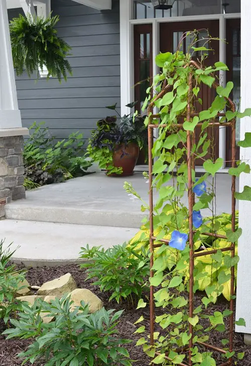 Copper Pipe Trellis