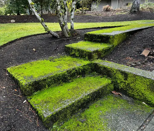 Gardener's Old Wives Tales that Really Work3