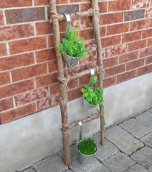 How-To Guide: Building a Garden Ladder and Trellis