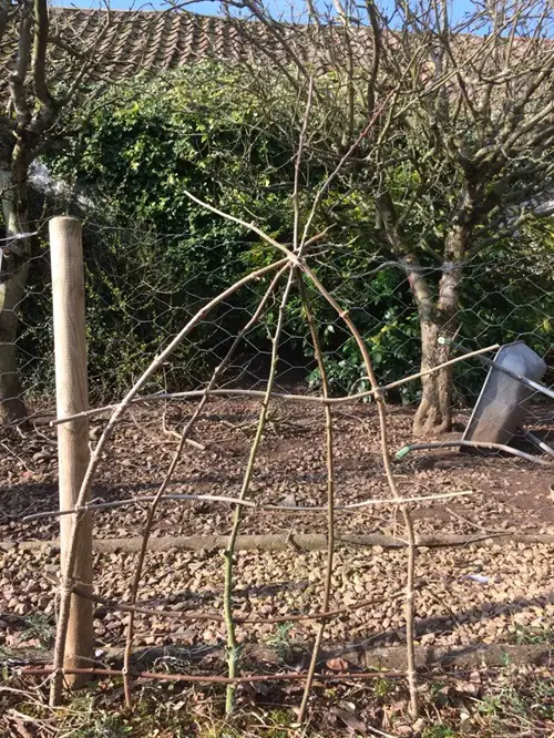 Building a Garden Ladder and Trellis at Home4