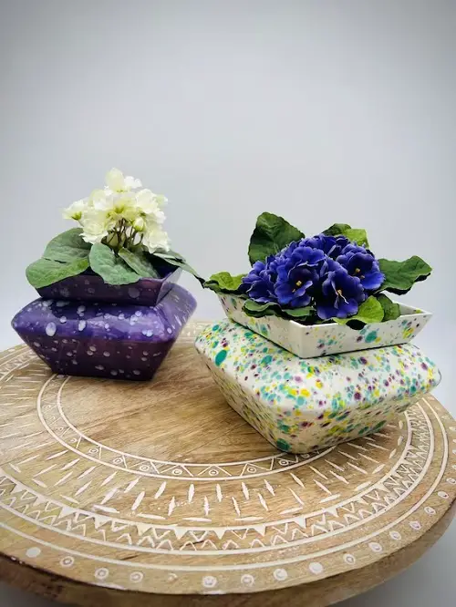 African Violets Display Ideas in printed pot