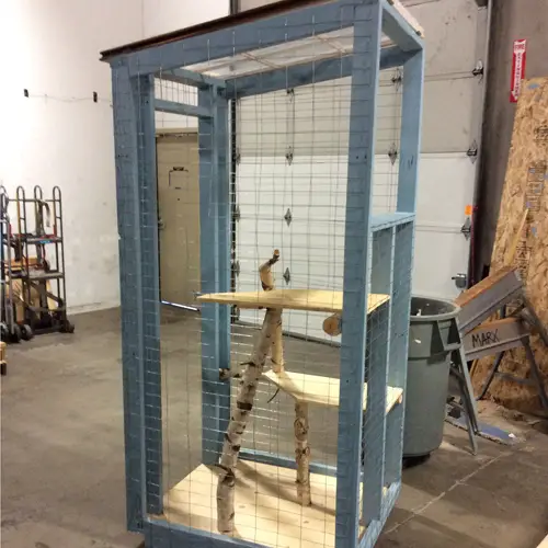 DIY Catio ideas to use