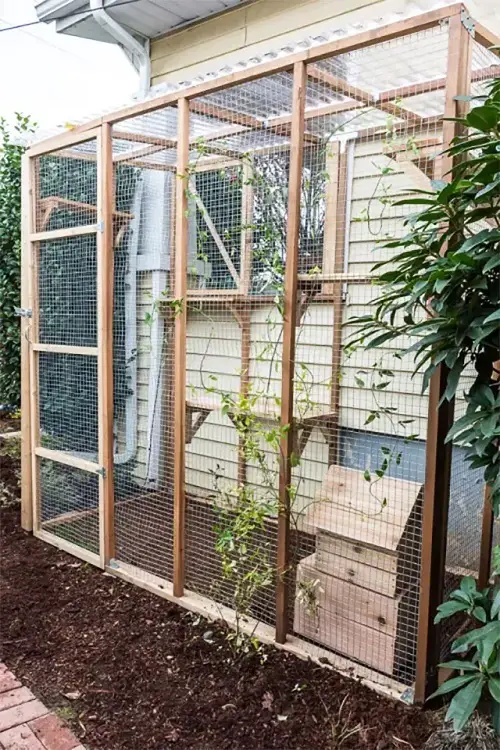 Ultimate DIY Catio ideas.