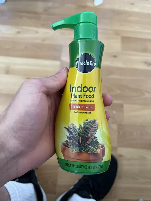 When to Start Fertilizing Houseplants 2