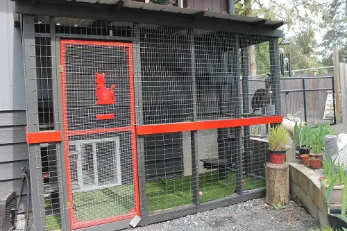 Amazing DIY Catio ideas 56