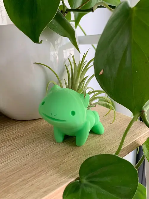 Pokemon Stands for Air Plants