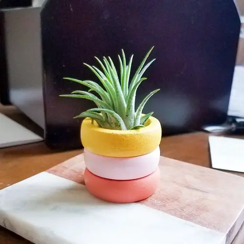 Upcycled Air Plant Holder Stand