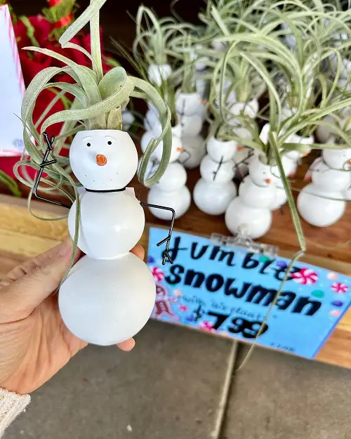 Snowman Stand for Tillandsias