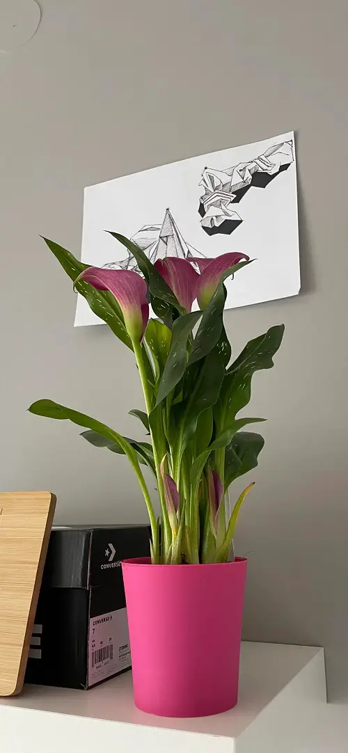 Use it for a Tabletop
