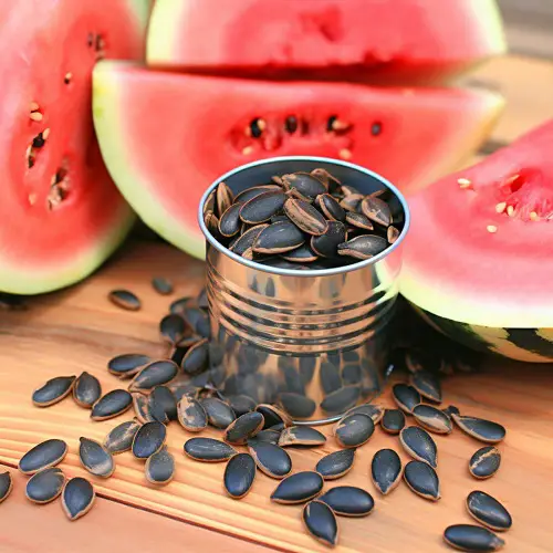 Watermelon Growing Stages