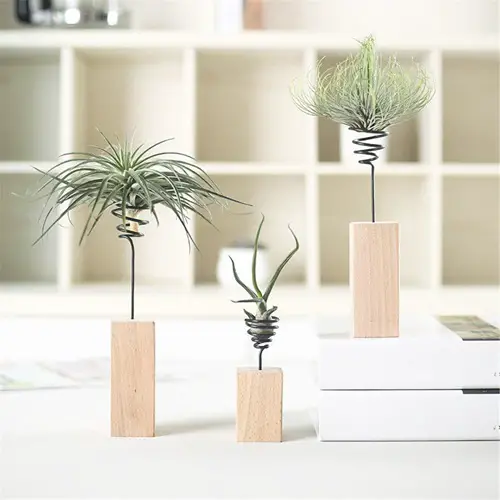 Wooden Blocks airplant Stand 