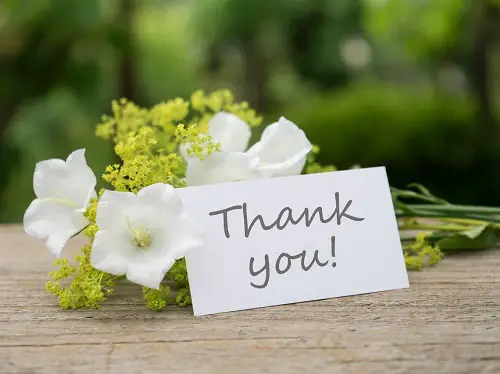 beautiful thank you flower