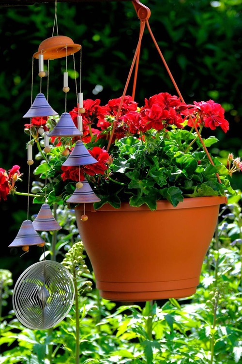Plants That Can Withstand Drought 3