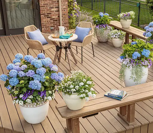 Light Blue Container Flowers
