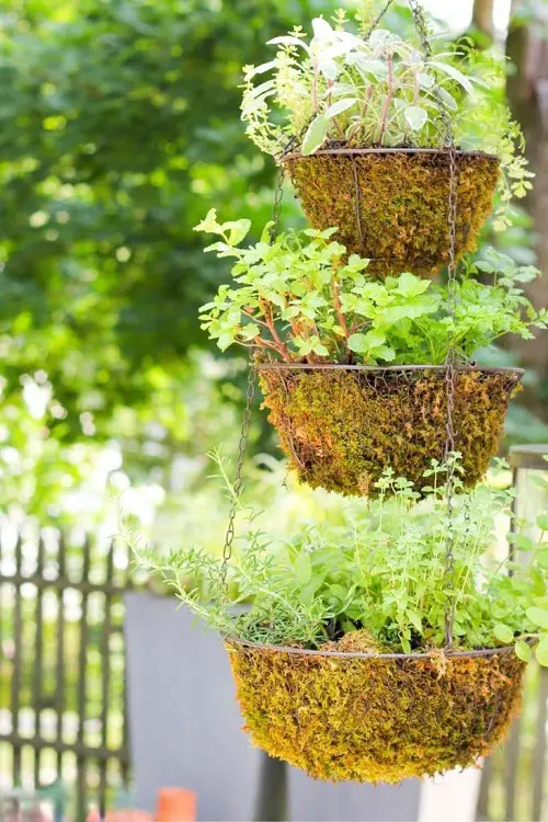 diy hanging baskets for herbs 1