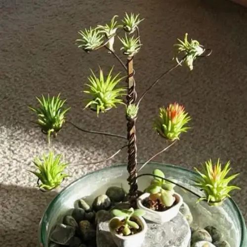 DIY Wire Stand