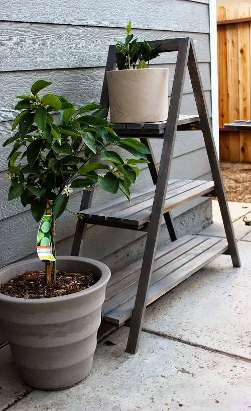 Ideas for Container Garden Stands 5