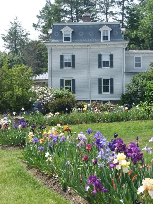 Amazing Iris flower arrangement ideas in garden 3