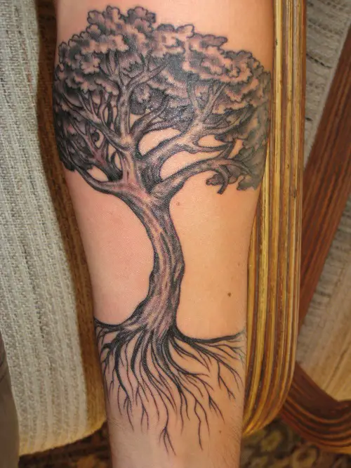 oak tree tattoo ideas 3