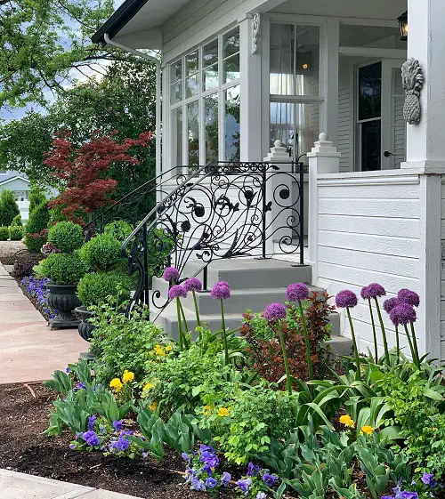 outdoor plants that draw everyone's attention 2