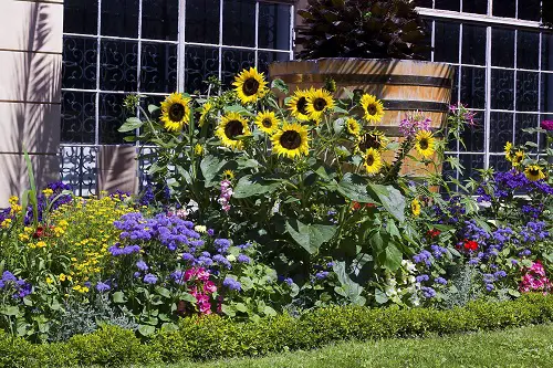 sunflower arrangement ideas 8
