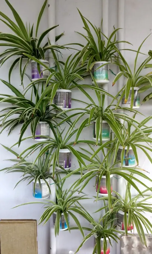 Paint Boxes Wall Decor planters