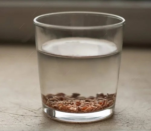 ideas To Pre-sprout Seeds For Faster Germination 