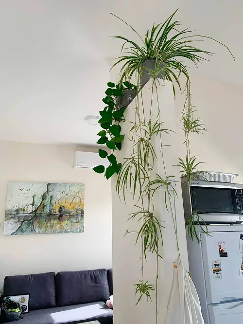 Use The Tallest Wall