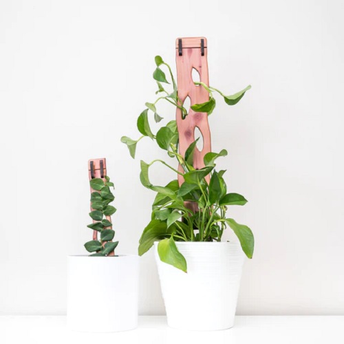 potted plants trellis 18