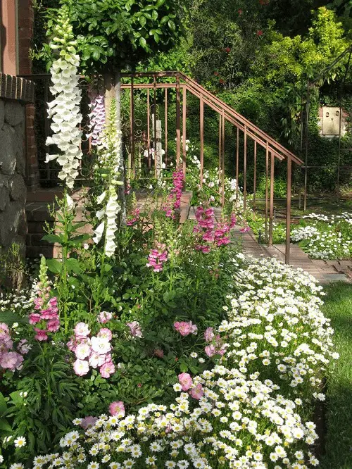 flowers that will make your house stand out 9