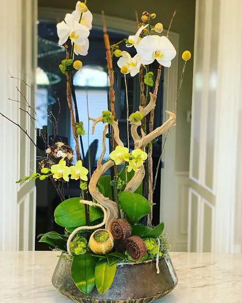 Orchid Arrangement Ideas